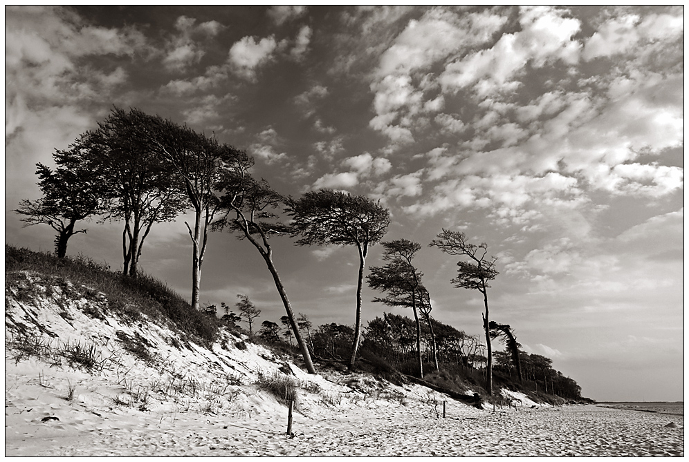 Am Darßer Weststrand...