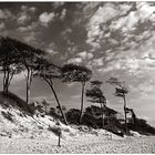 Am Darßer Weststrand...