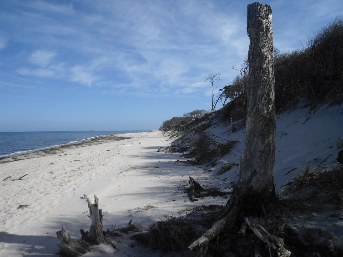 Am Darßer Weststrand