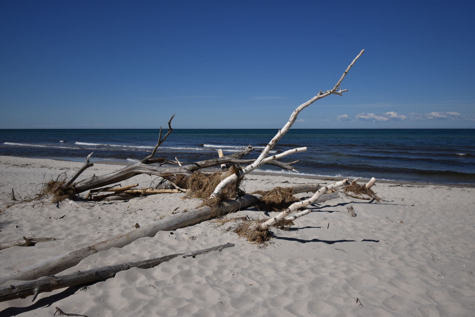 Am Darßer Weststrand