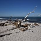 Am Darßer Weststrand