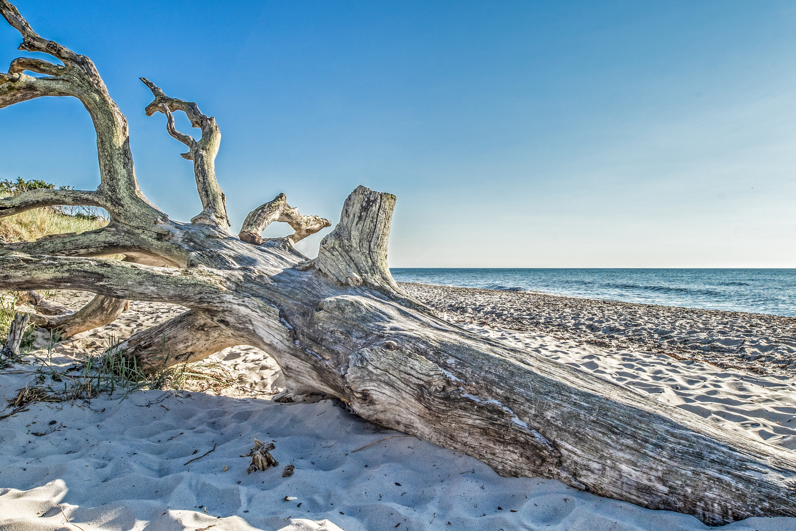 Am Darßer Weststrand