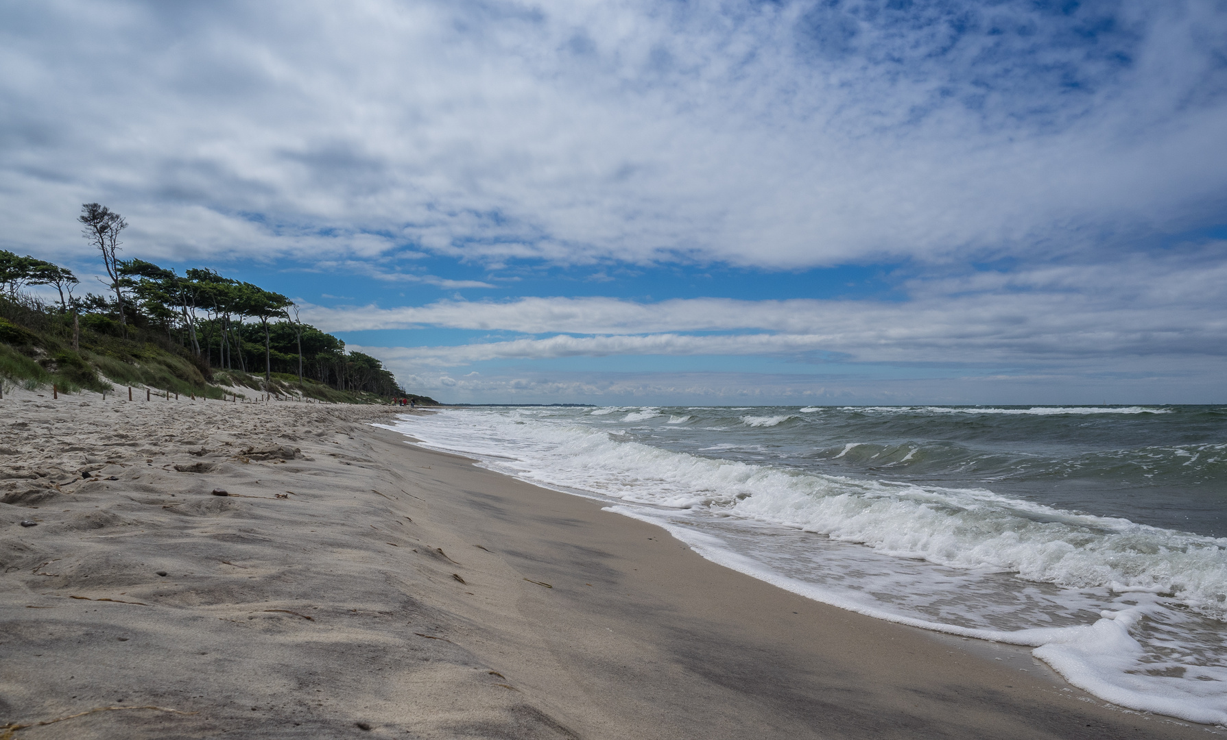 Am Darßer Weststrand im Nationalpark Vorpommersche Boddenlandschaft