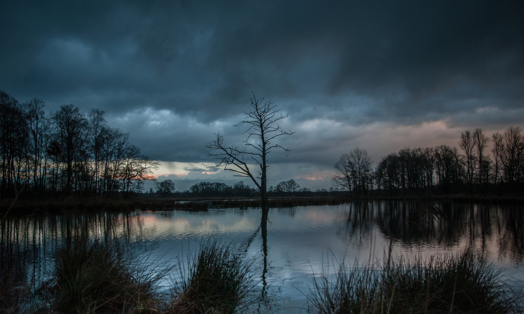 am De Witt See