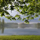 am Decksteiner Weiher