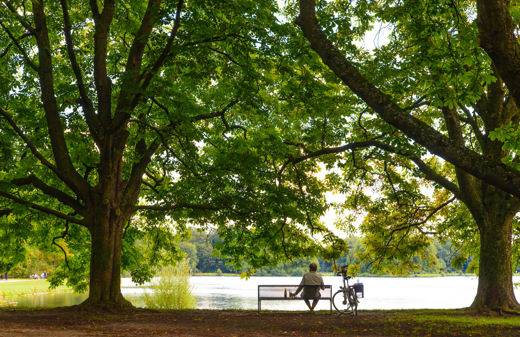 [ Am Decksteiner Weiher ]