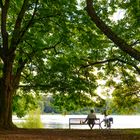 [ Am Decksteiner Weiher ]