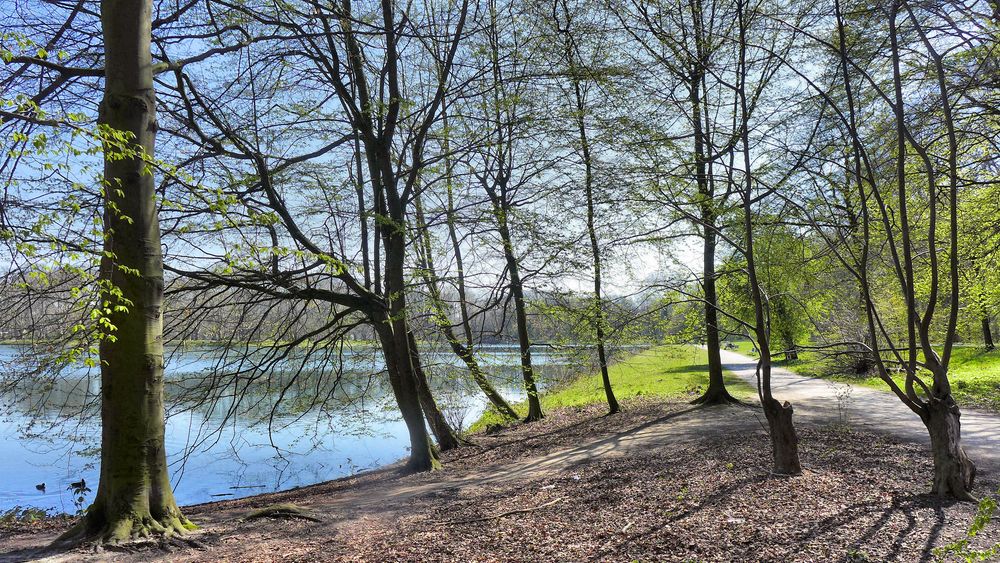 Am Decksteiner Weiher