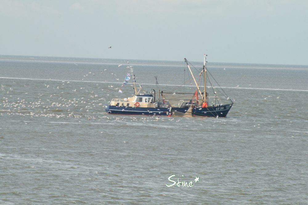 Am Deich bei Harlingen