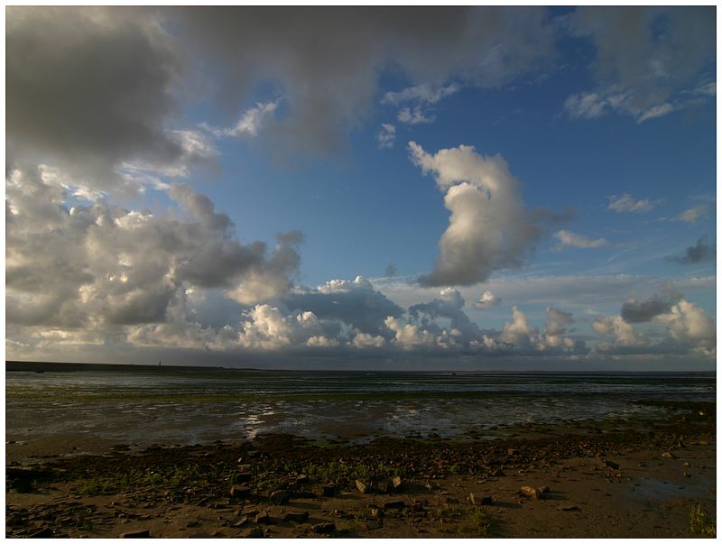 Am Deich von De Cocksdorp auf Texel