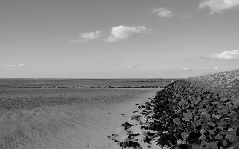 Am Deich von Utersum auf Föhr