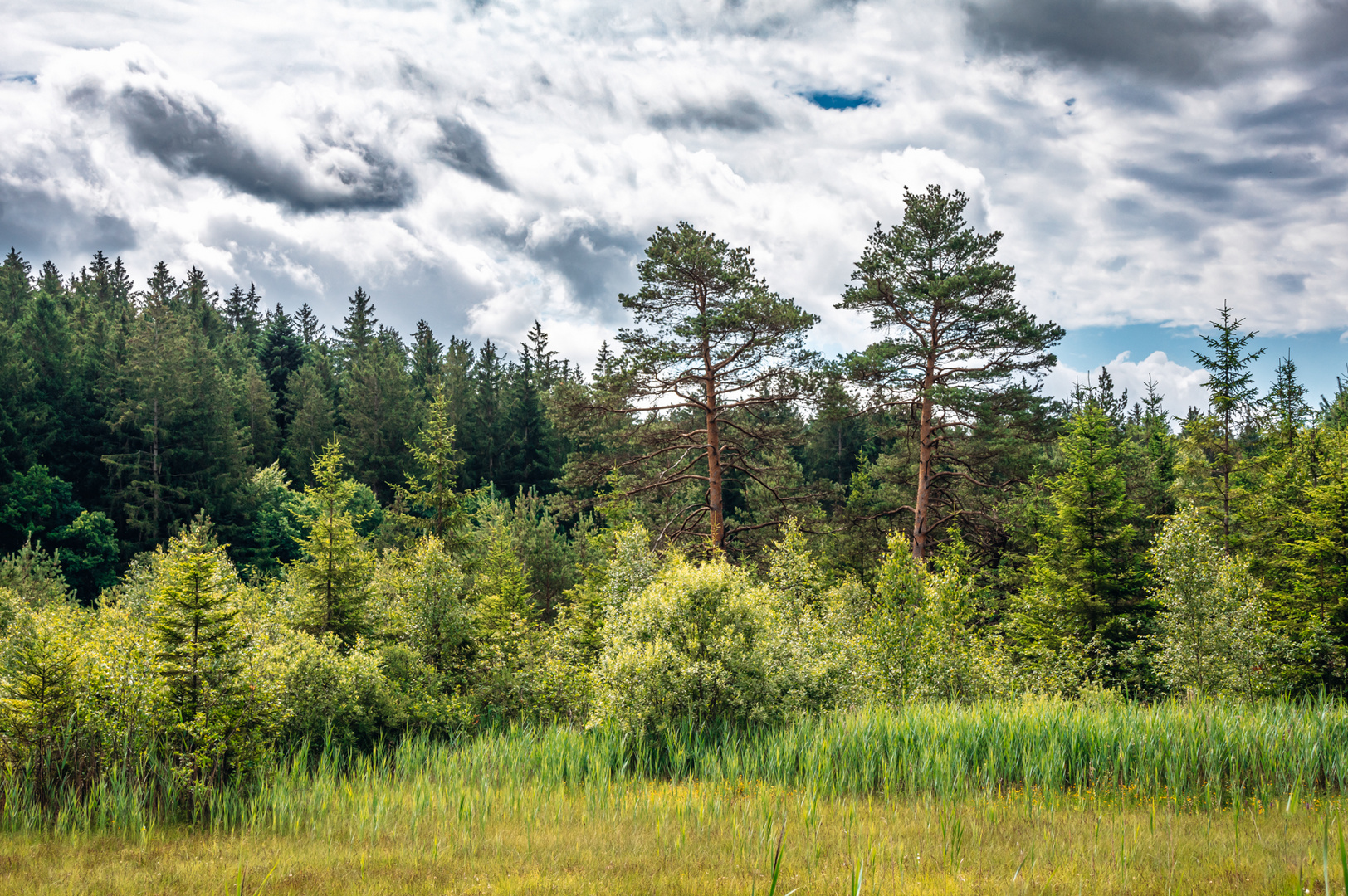 Am Deininger Moor