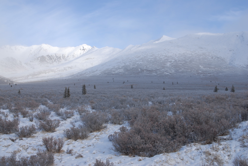 Am Dempster Highway bei winterlichen Temperaturen, Yukon Kanada 2007 (FSC-193)