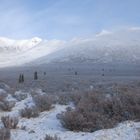 Am Dempster Highway bei winterlichen Temperaturen, Yukon Kanada 2007 (FSC-193)