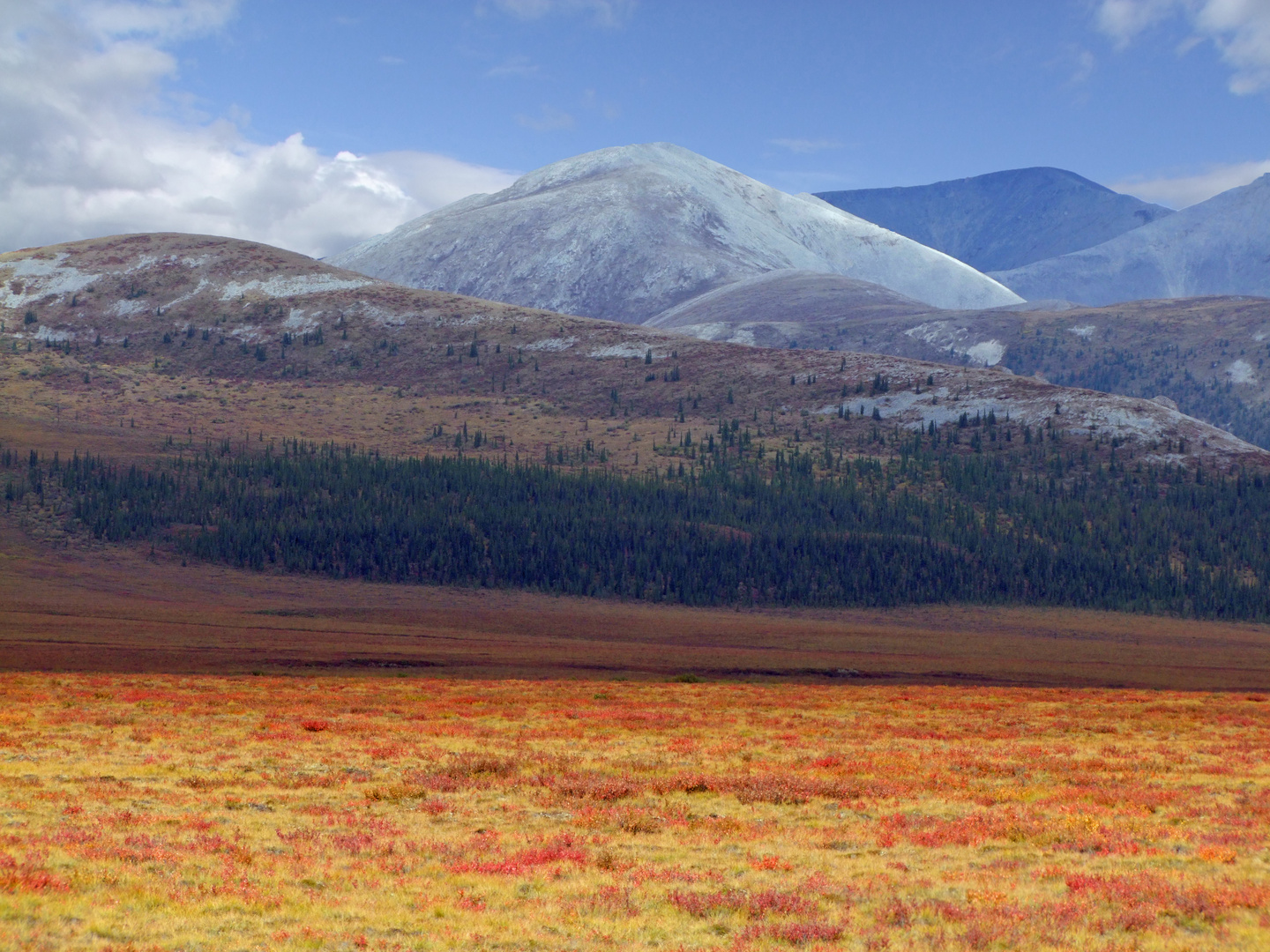 Am Dempster Highway, Yukon/Canada