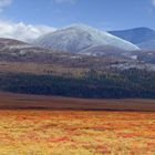 Am Dempster Highway, Yukon/Canada