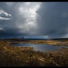 ...am denali-highway...