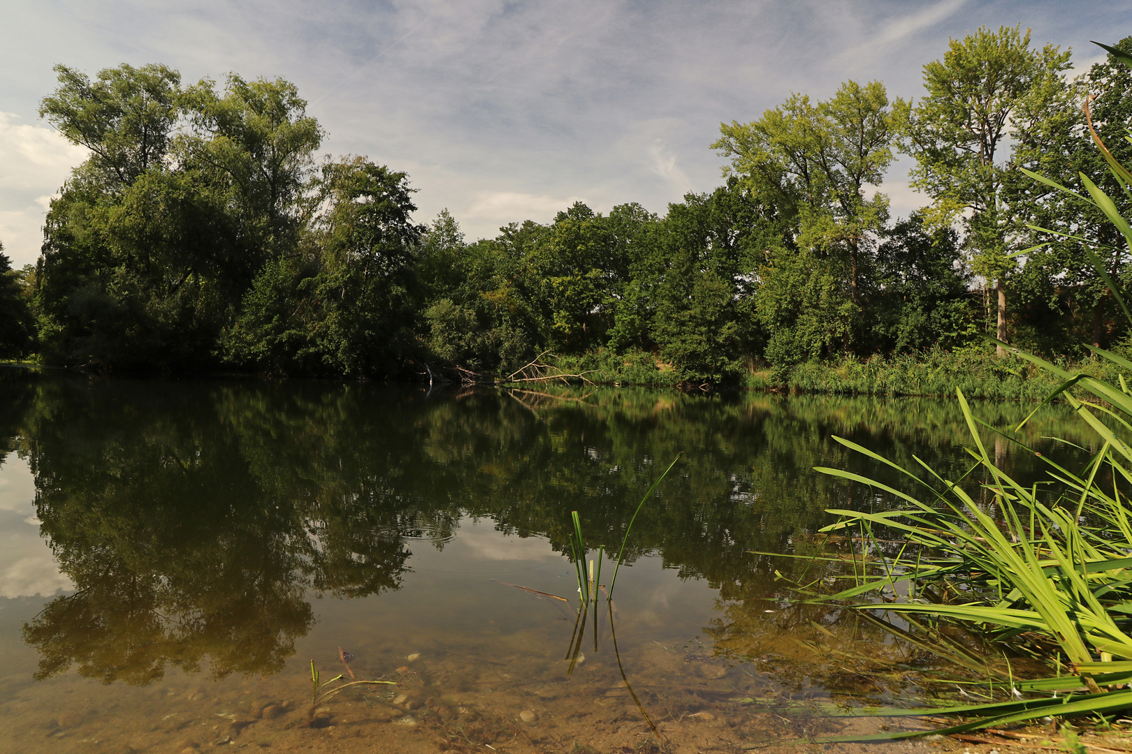 Am Denstorfer Teich