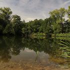 Am Denstorfer Teich