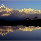 am Dhampus-Pass in Nepal
