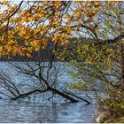 Am Diecksee