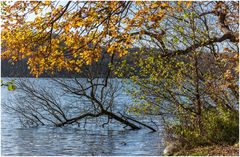 Am Diecksee