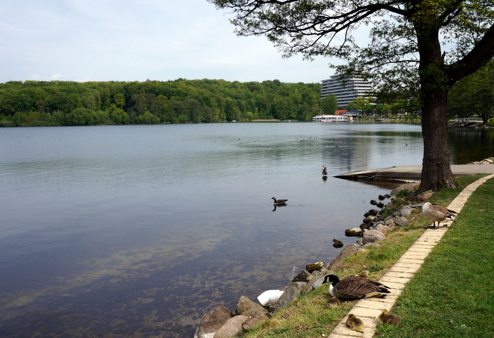 Am Dieksee 