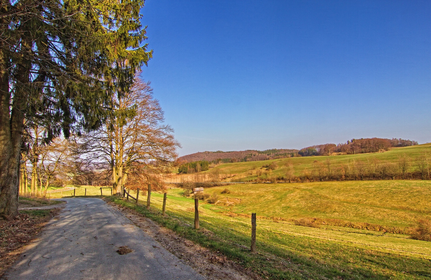 Am Diemelsteig 