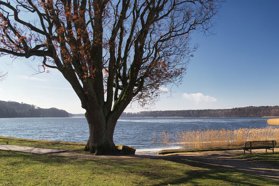 Am Dobbertiner See