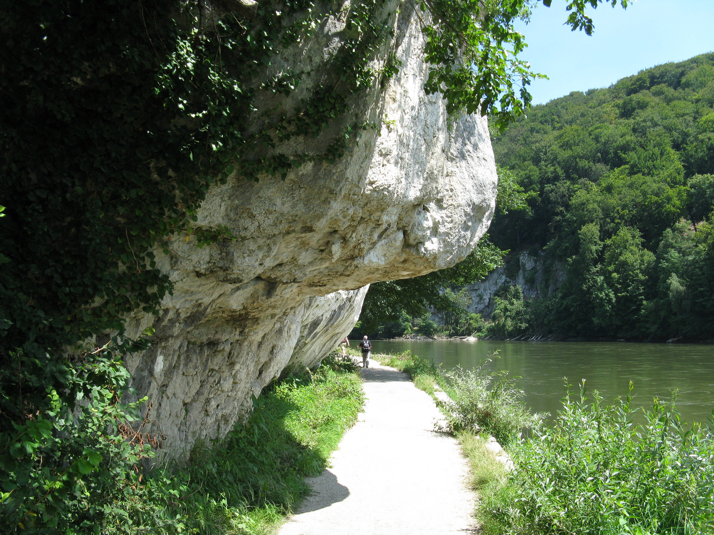 Am Donaudurchbruch zwischen Kkelheim und Weltenburg