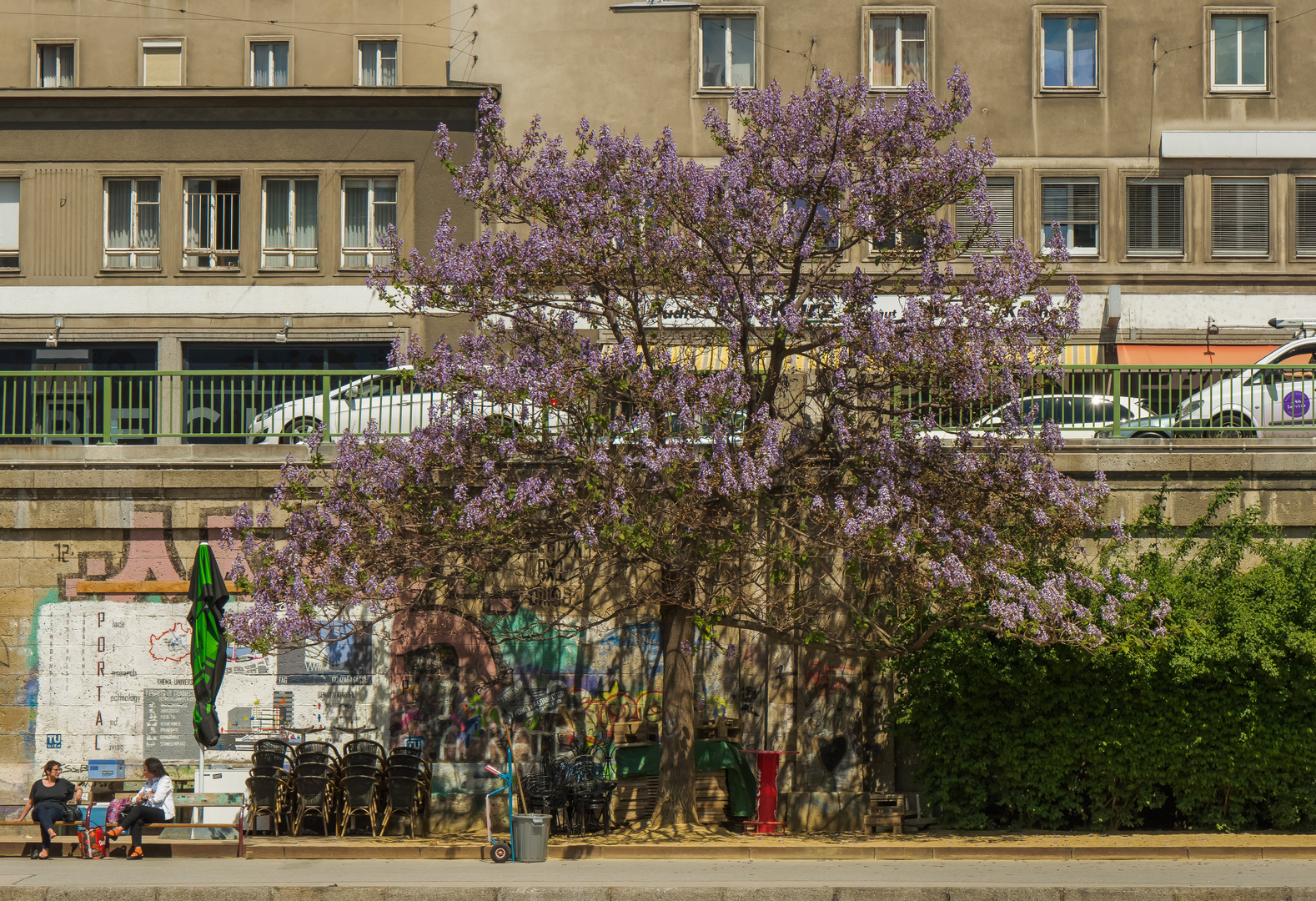 Am Donaukanal (24)