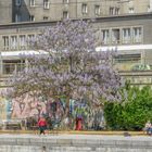 Am Donaukanal (59) 