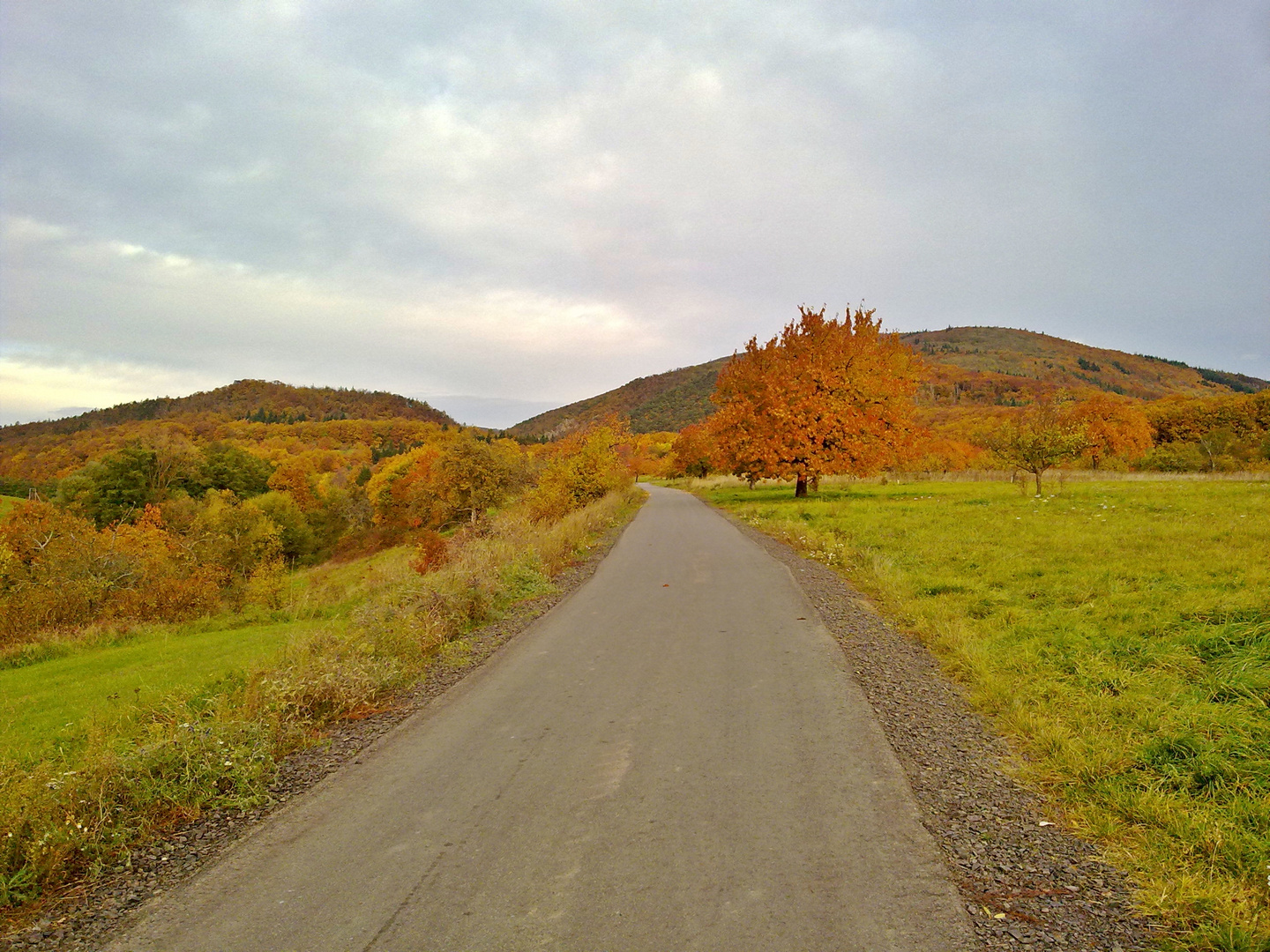 Am Donnersberg...