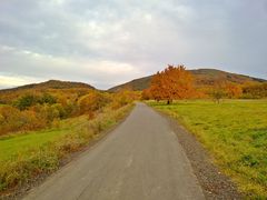 Am Donnersberg...