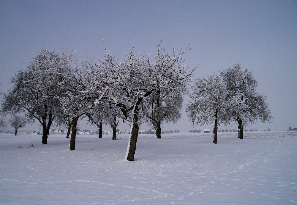 Am Dorfrand