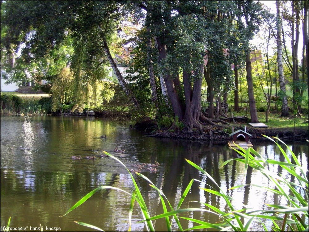 Am Dorfteich in Damlos in Ostholstein...