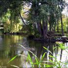 Am Dorfteich in Damlos in Ostholstein...