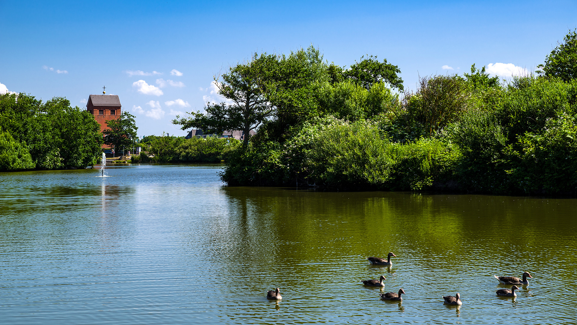 Am Dorfteich in Wenningstedt, Sylt