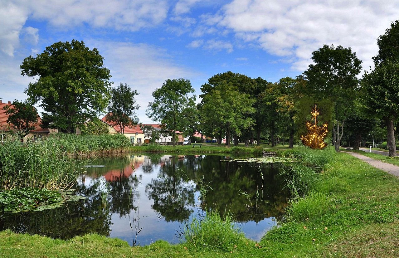 Am Dorfteich von Stolpe/Usedom