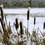 Am Dorfweiher