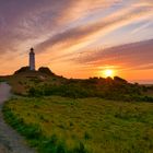 Am Dornbusch auf Hiddensee