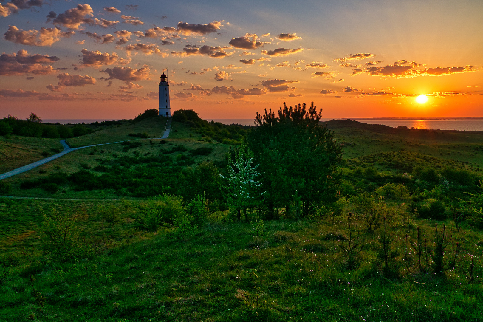 Am Dornbusch auf Hiddensee