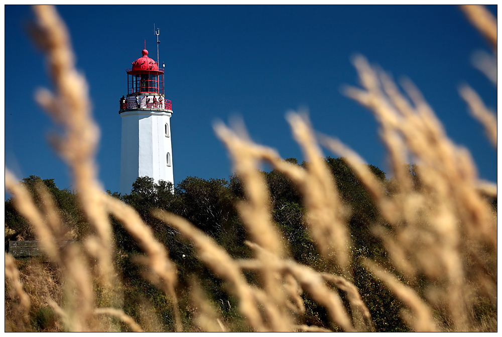 Am Dornbusch auf Hiddensee