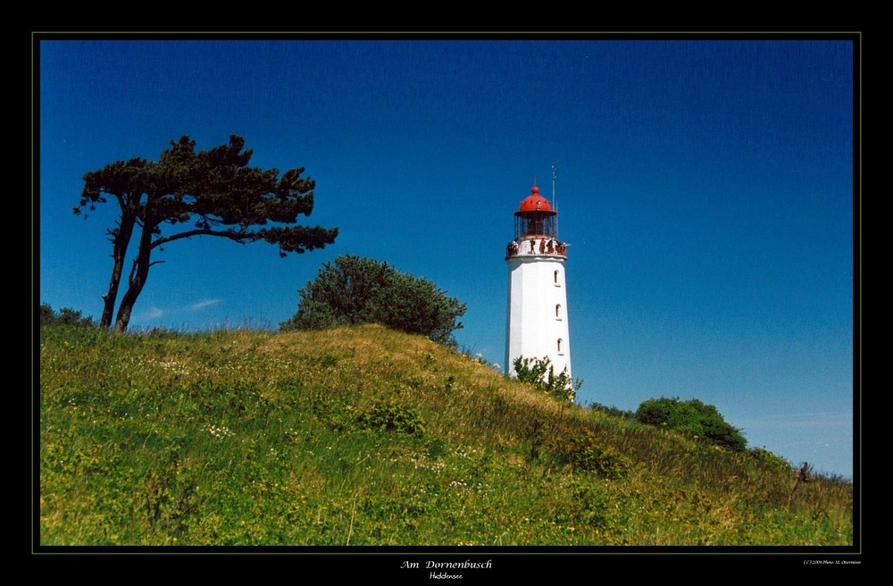 Am Dornbusch / Hiddensee