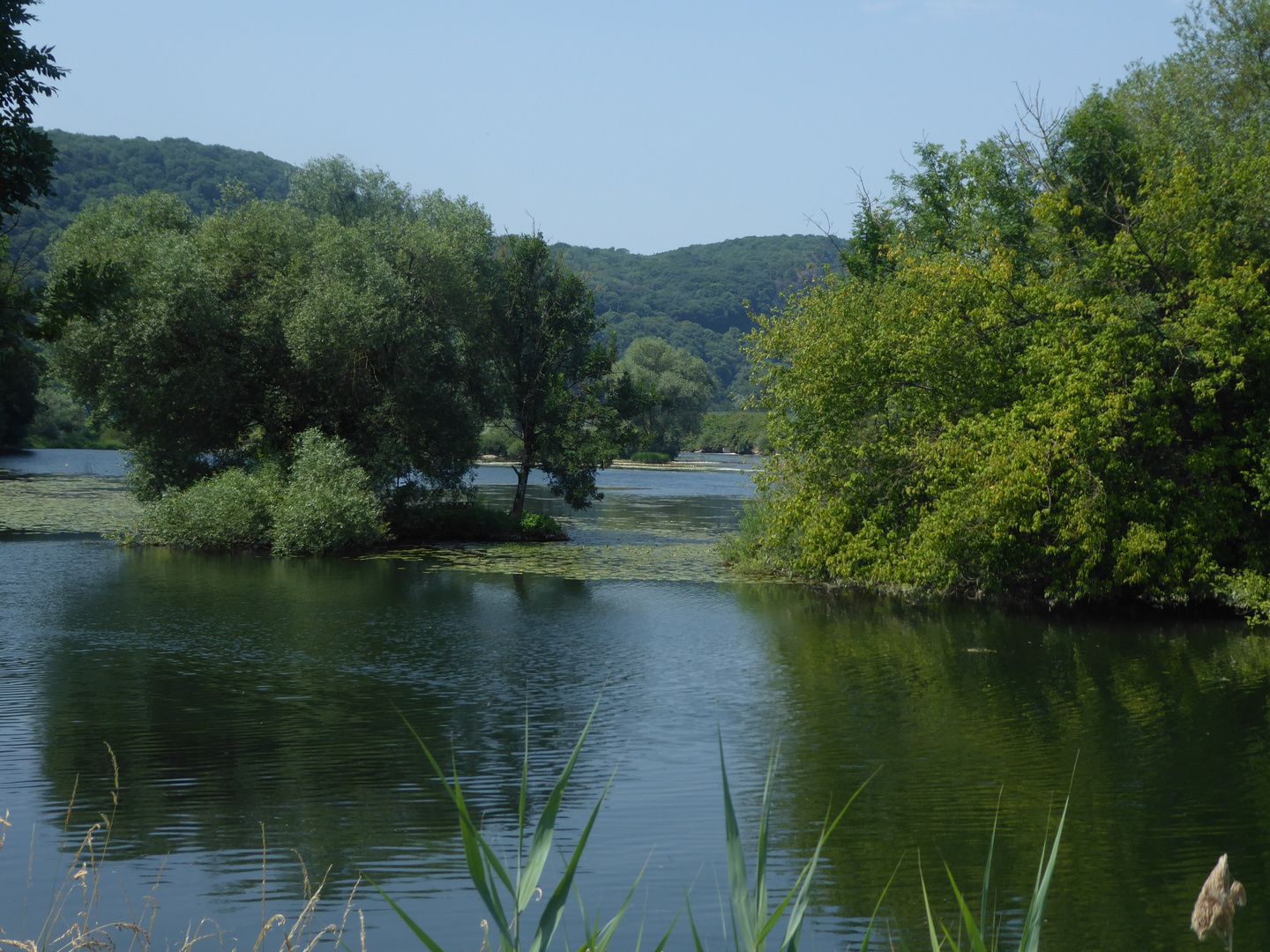 Am Doubs Foto & Bild landschaft, bach, fluss & see, natur Bilder auf
