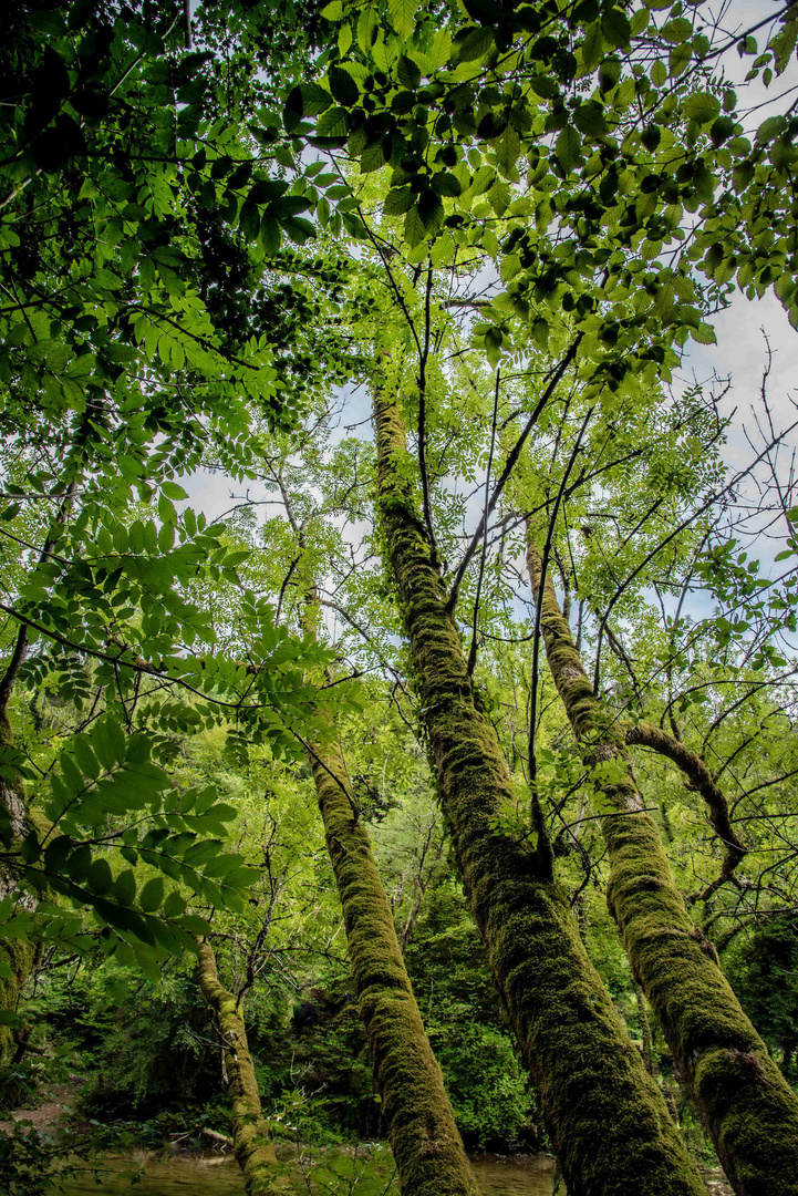 Am Doubs in St. Ursanne  Jura