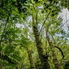 Am Doubs in St. Ursanne  Jura