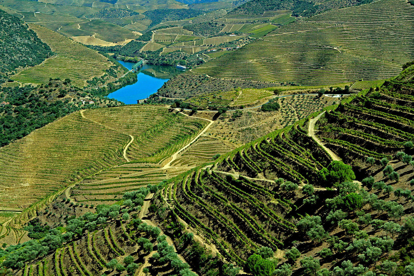 Am Douro