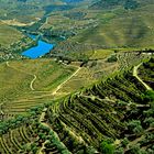 Am Douro