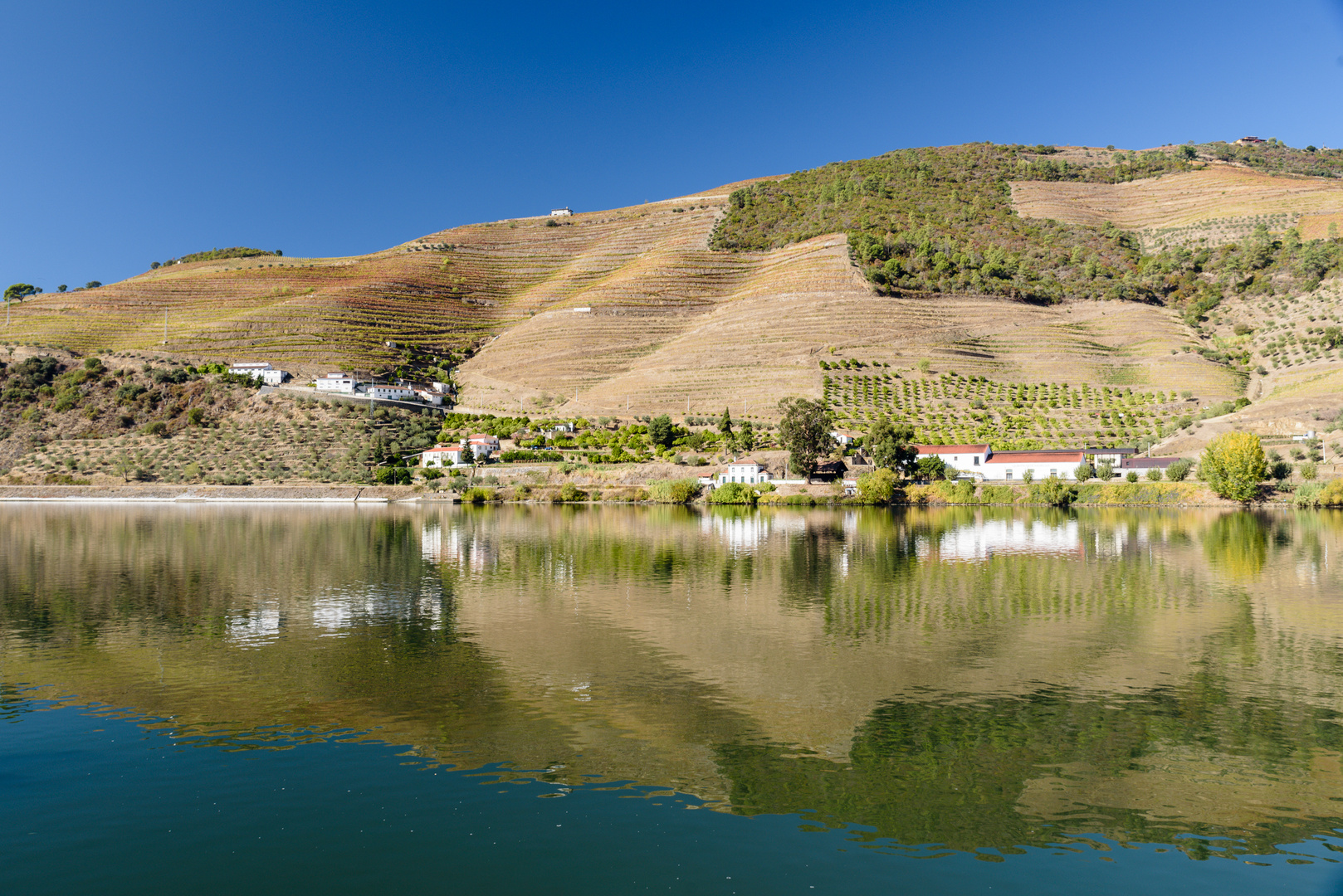 Am Douro